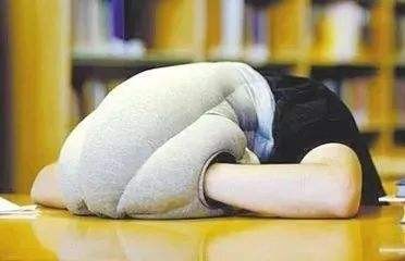 减肥人的一天安排