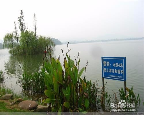 游泳需注意的安全事项