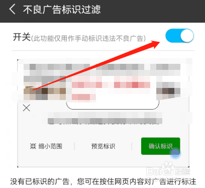 安卓版私密浏览器如何开启不良广告标识过滤？