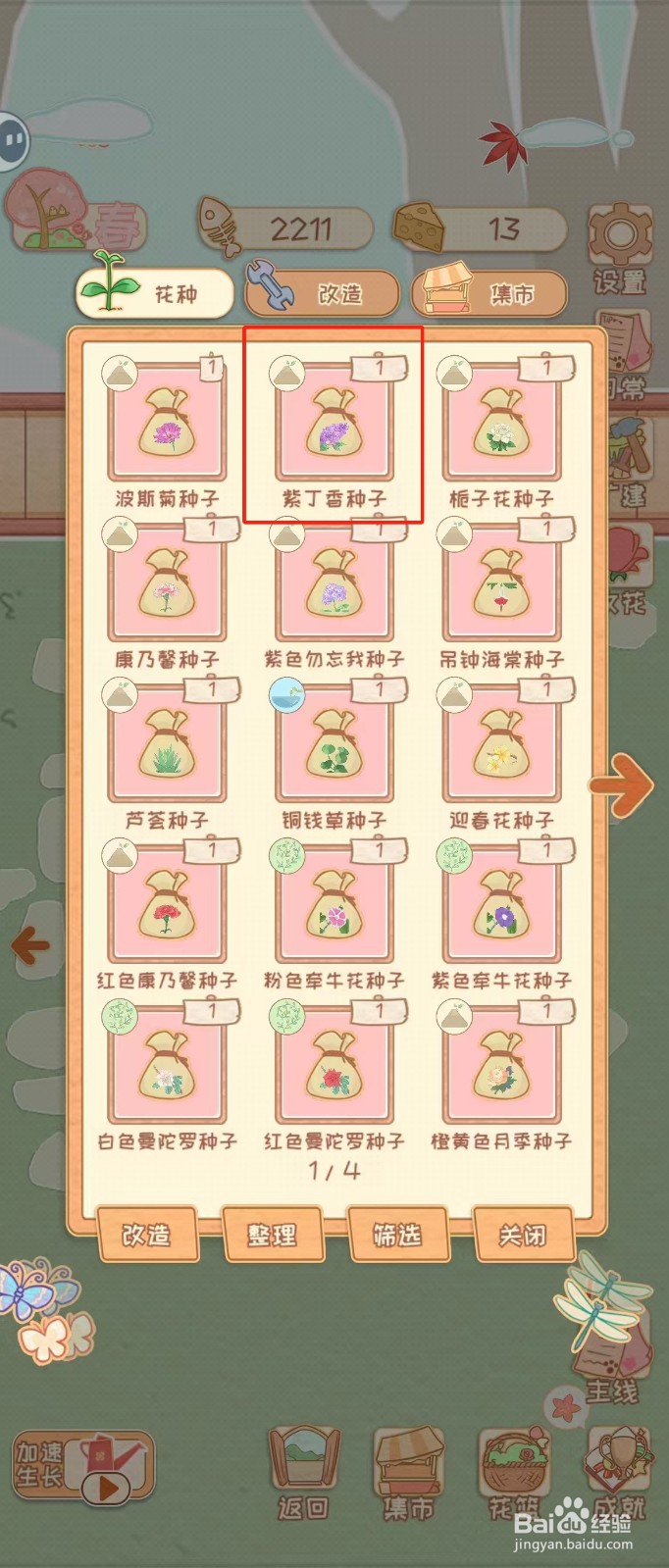 花店物语如何查看紫丁香种子的播种