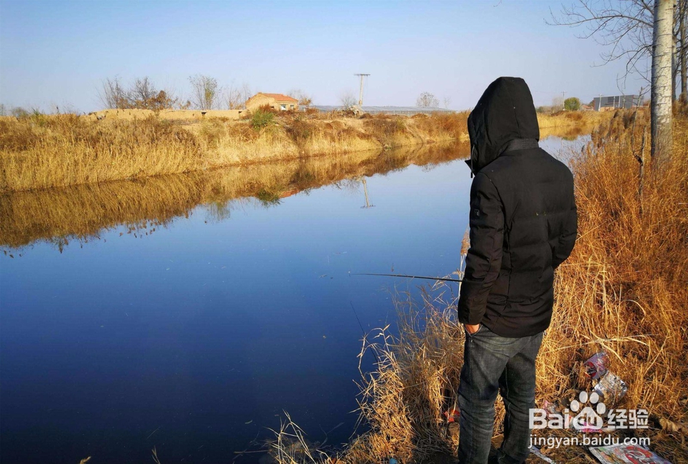 冬季钓鲫鱼要注意什么