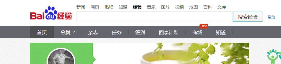 如何能通过百度搜索找到自己写的经验