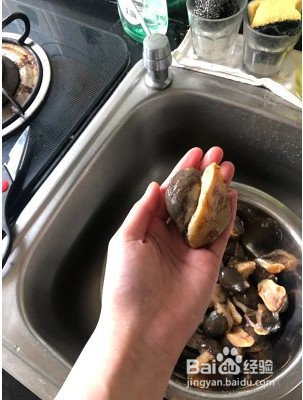 鲍螺怎么做好吃