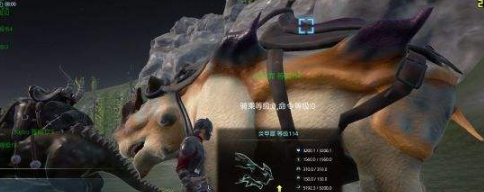 黑暗与光明火龙驯服方法详解