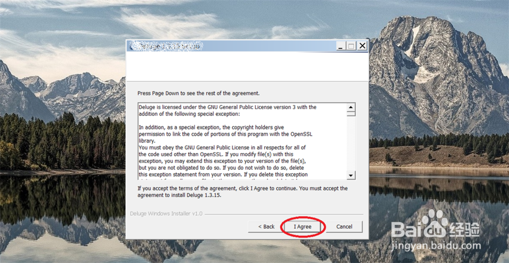 windows上 安装 deluge 教程