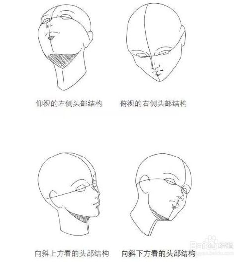 漫画人物头部不同角度绘画方法 百度经验 漫画人物头部不同角度绘画方法 百度经验