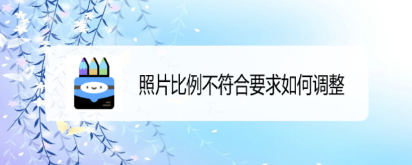 照片比例不符合要求如何调整