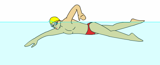 【自由泳】动作要领图解及呼吸技巧