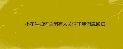 小花生如何关闭有人关注了我消息通知
