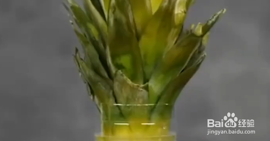 如何学会学会这些生活小技巧