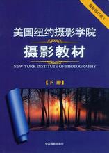 如何提高摄影水平(技巧)