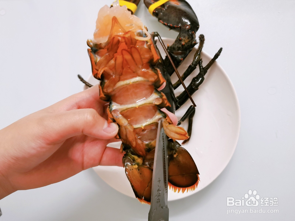 家常蒜蓉粉丝蒸龙虾的做法