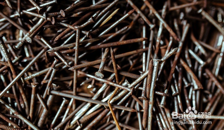 水培富贵竹叶子发黄怎么办