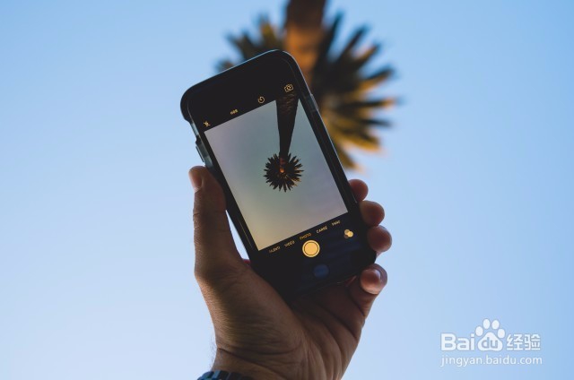 如何把图片上的文字转换成word