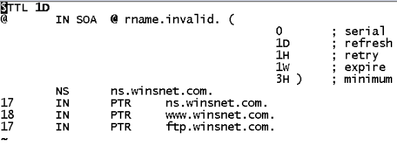 linux配置DNS服务器