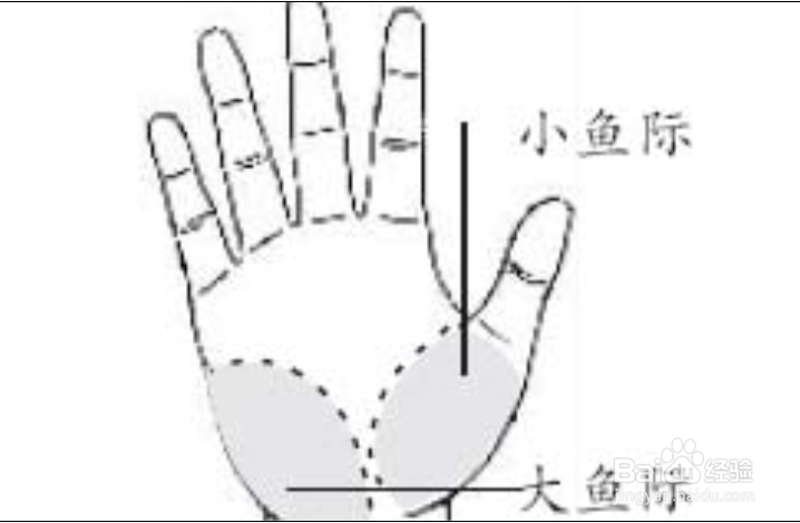 怎样按摩之按摩的手法揉法