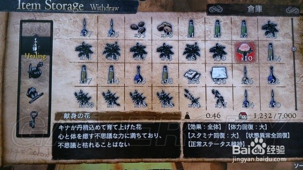 龙之信条怎么升级