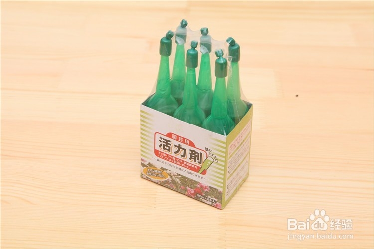 魔豆如何栽种