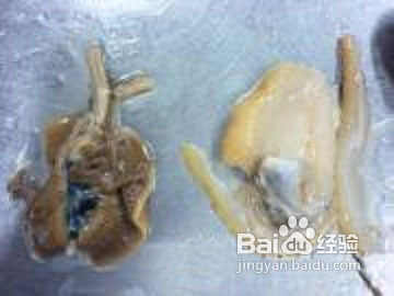 怎样做秧草咸肉河蚌