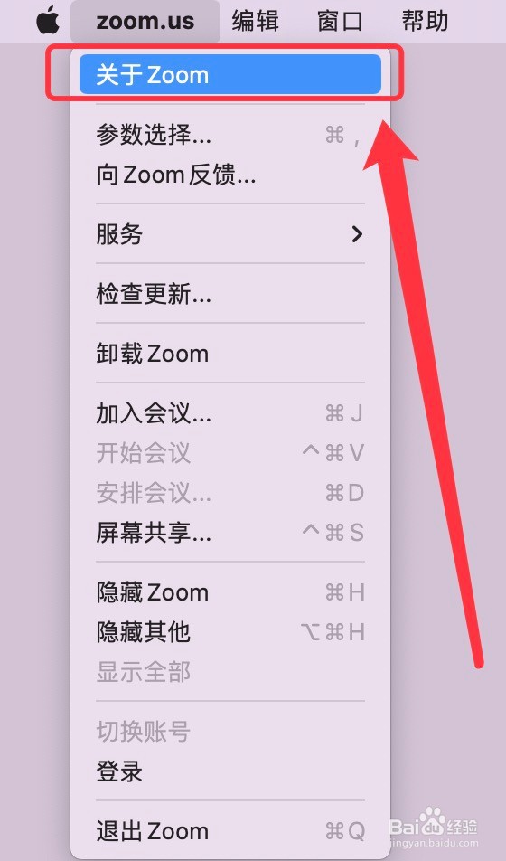 Zoom版本的查看方法