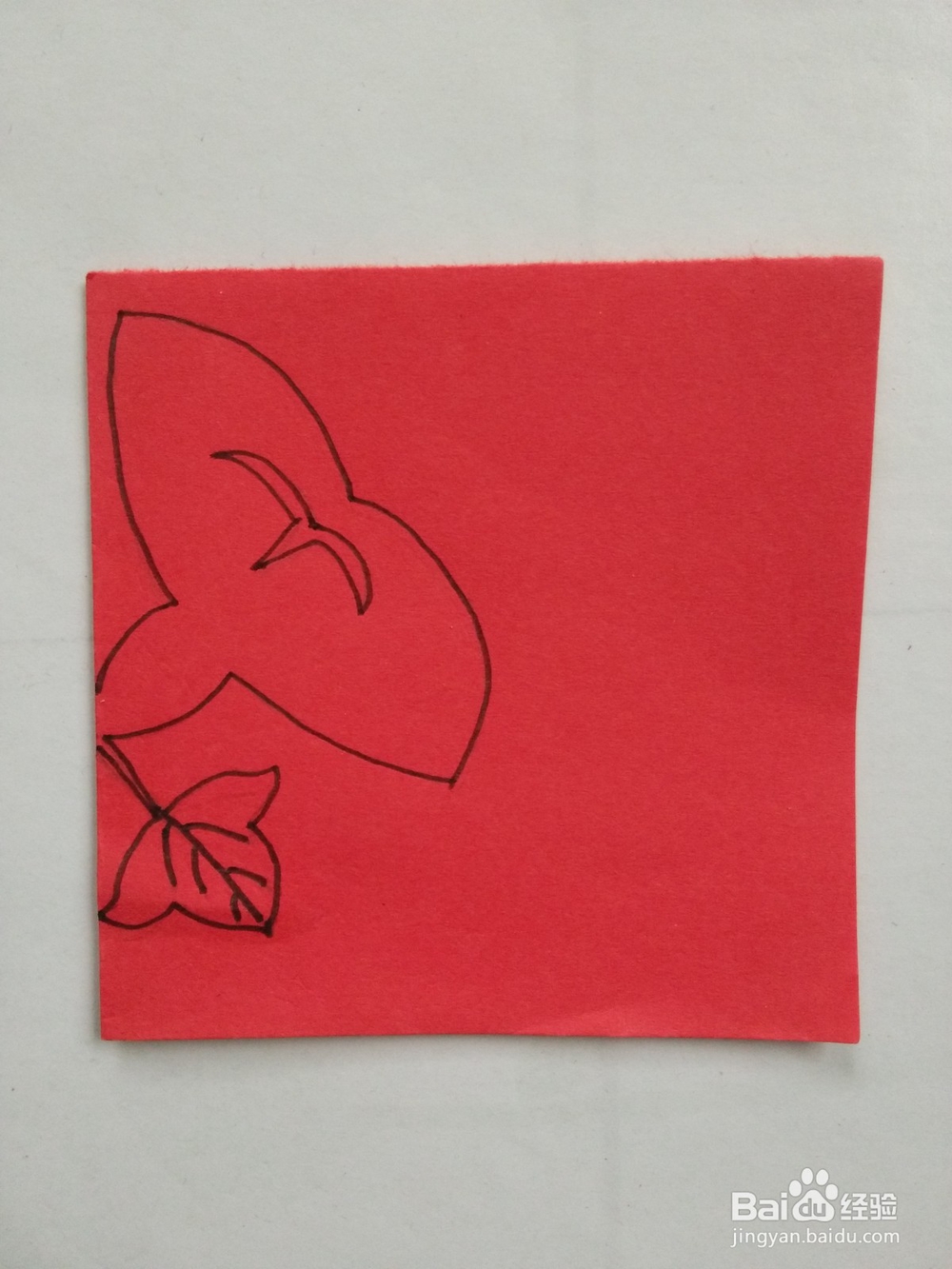 剪纸——怎么剪牵牛花2