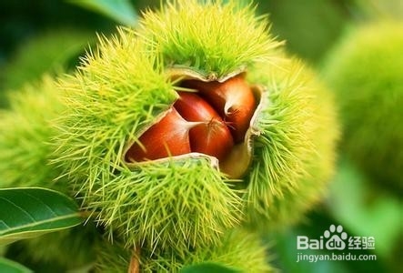 张家界市区住宿