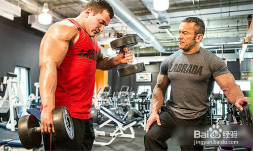 如何高效锻炼手臂