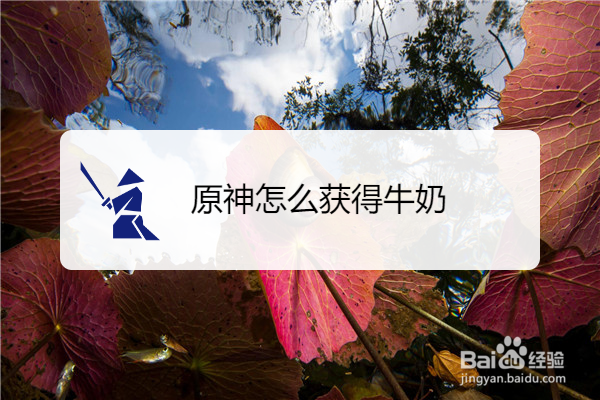 原神怎么获得牛奶