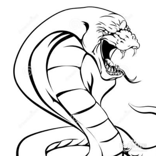 蛇是怎么繁殖后代的?