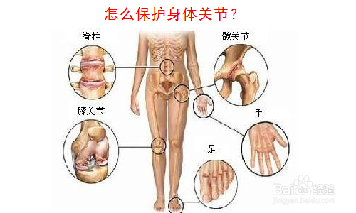 怎么保护身体关节