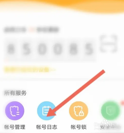 YY安全中心如何查看充值记录?