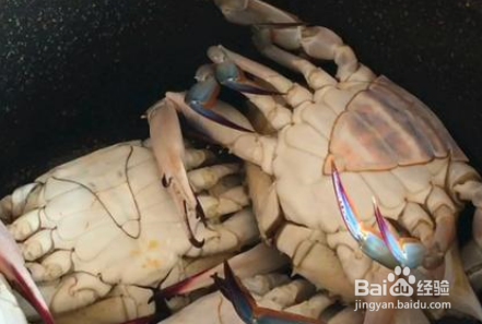 家里没有蒸锅怎么蒸螃蟹