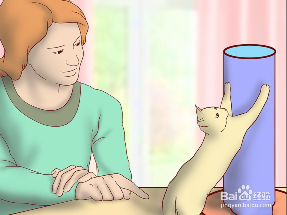 教你如何一只小猫开始养和注意事项有哪些?