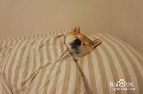 男生该做好的日常习惯