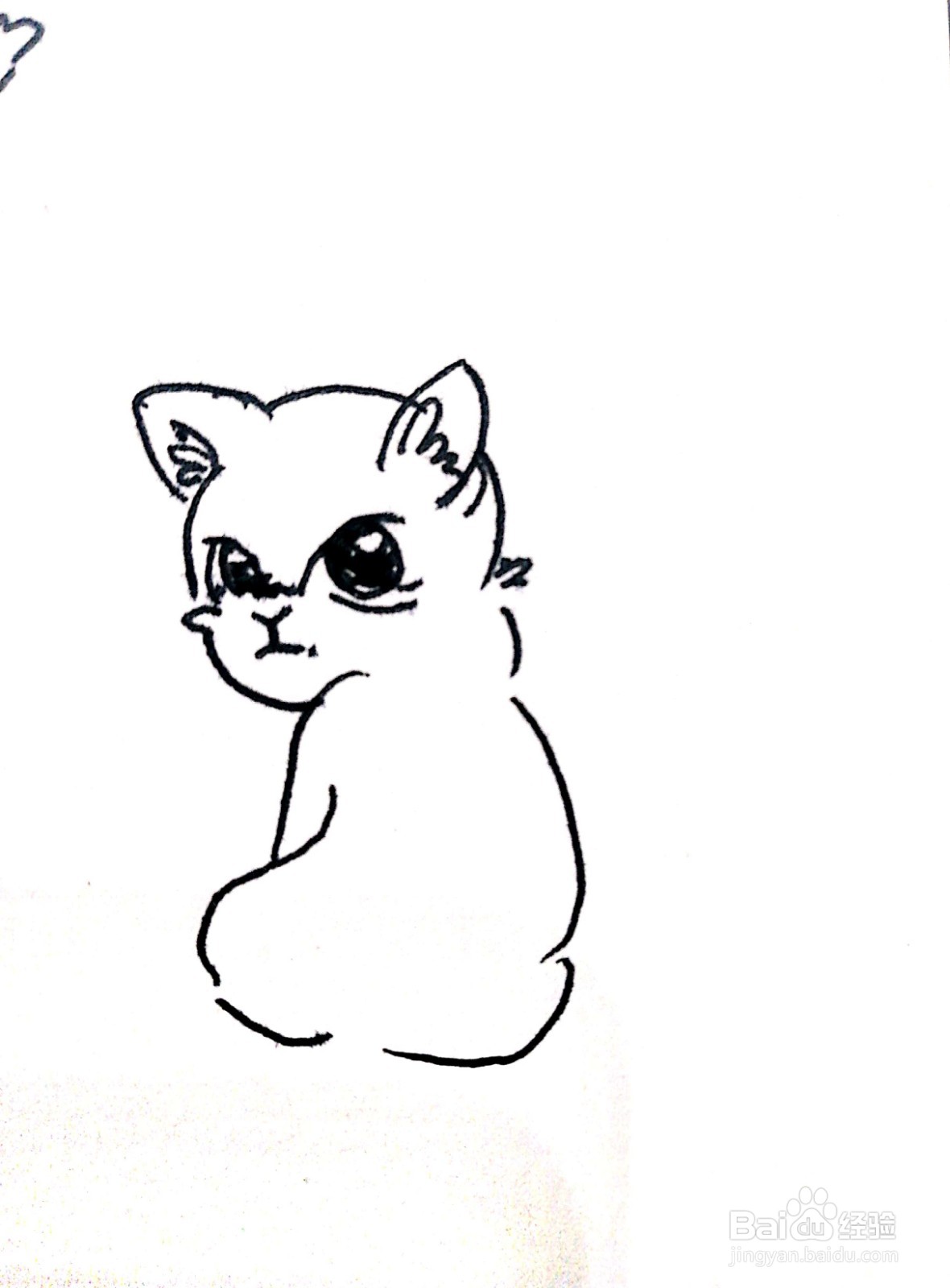 回头望的猫咪线描画怎么画