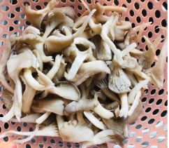 椒盐蘑菇-超好吃的下酒菜