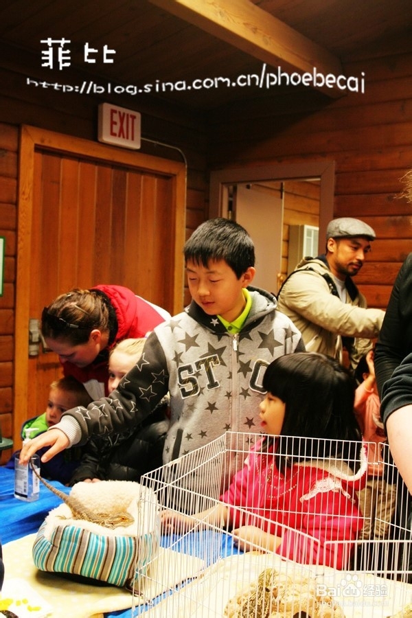 温哥华自然公园珍奇爬行动物展