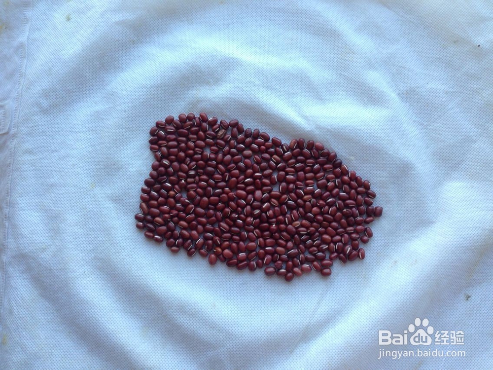 怎样画种子画--大象