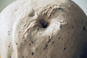 黑芝麻华夫饼的做法