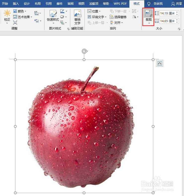 word怎么裁剪图片？