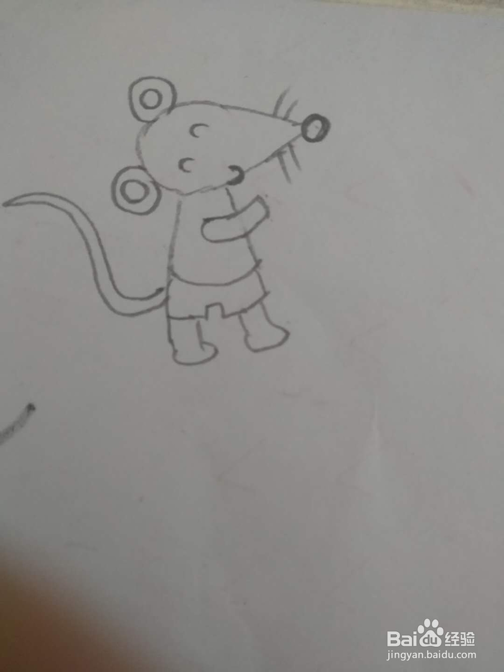 怎么画一只小老鼠