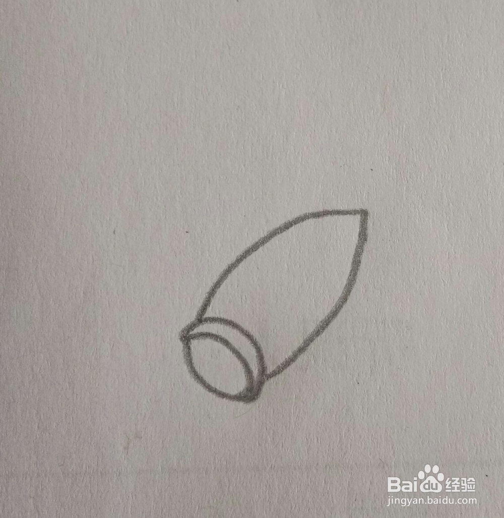 儿童简笔画白菜画法三