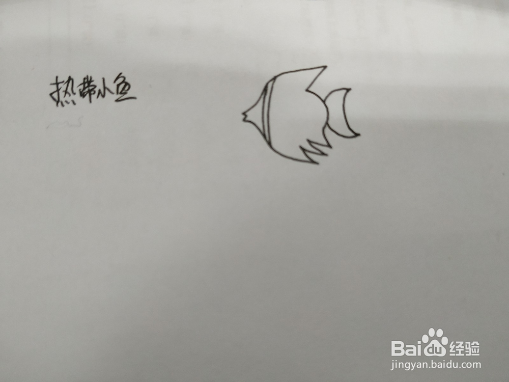 热带小鱼简笔画怎么画，怎么画热带鱼简笔画