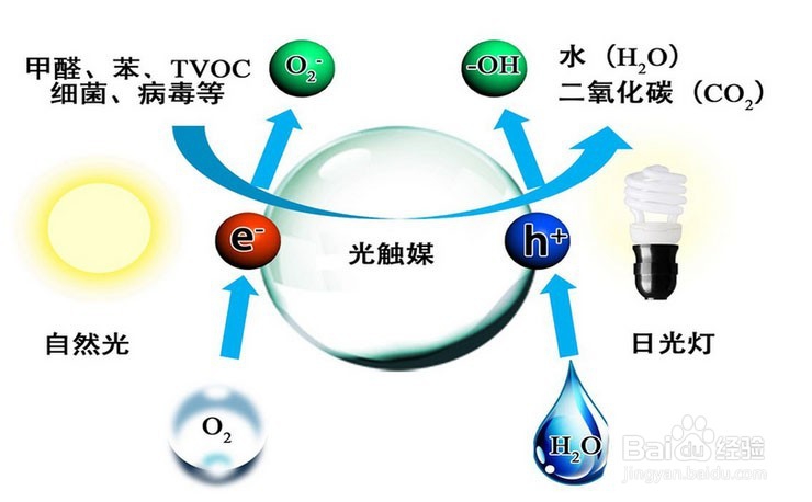 除最甲醛最有效方法应“因地制宜”