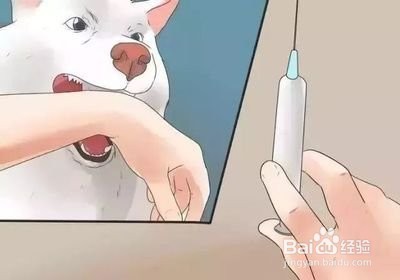 被狗咬了怎么办?