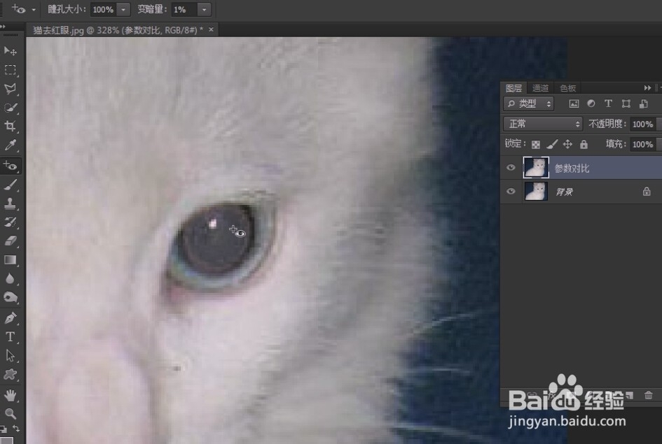 photoshop入门教程(58)红眼工具