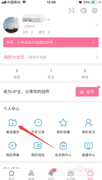 哔哩哔哩怎么对离线缓存做弹幕更新
