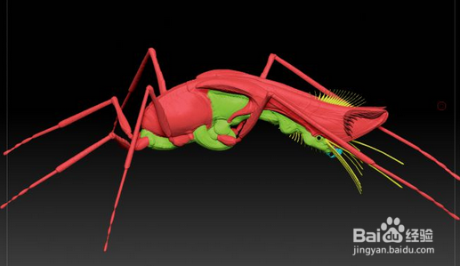 ZBrush结合Maya设计和建模生物全过程(下)
