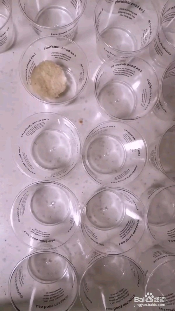 咸奶油肉松蛋糕杯