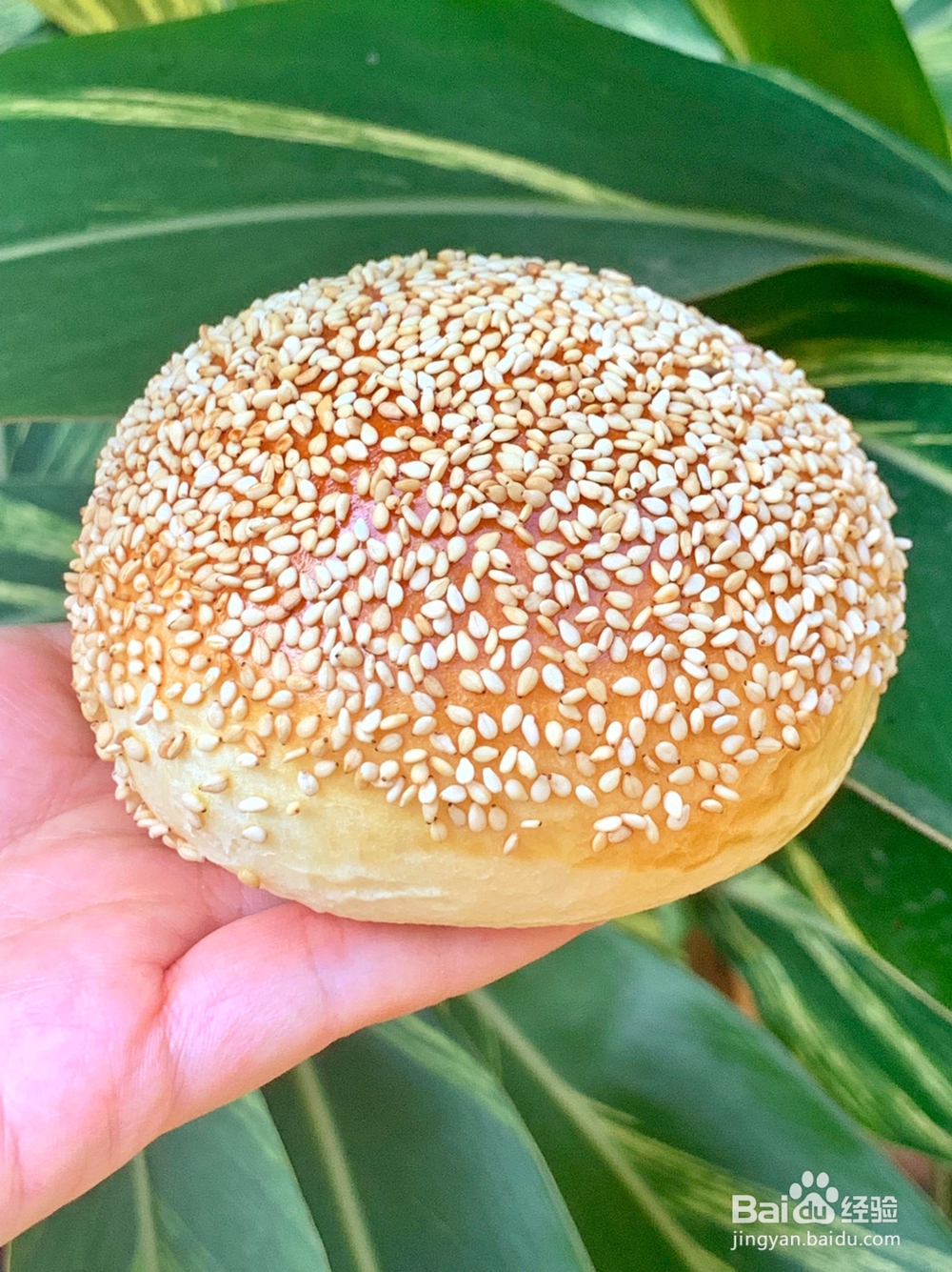 糕点小美汉堡坯的教程